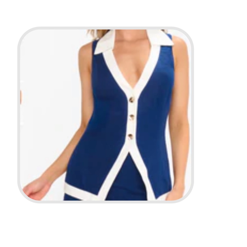 Show Me Your MuMu Navy and White V-Neck Top